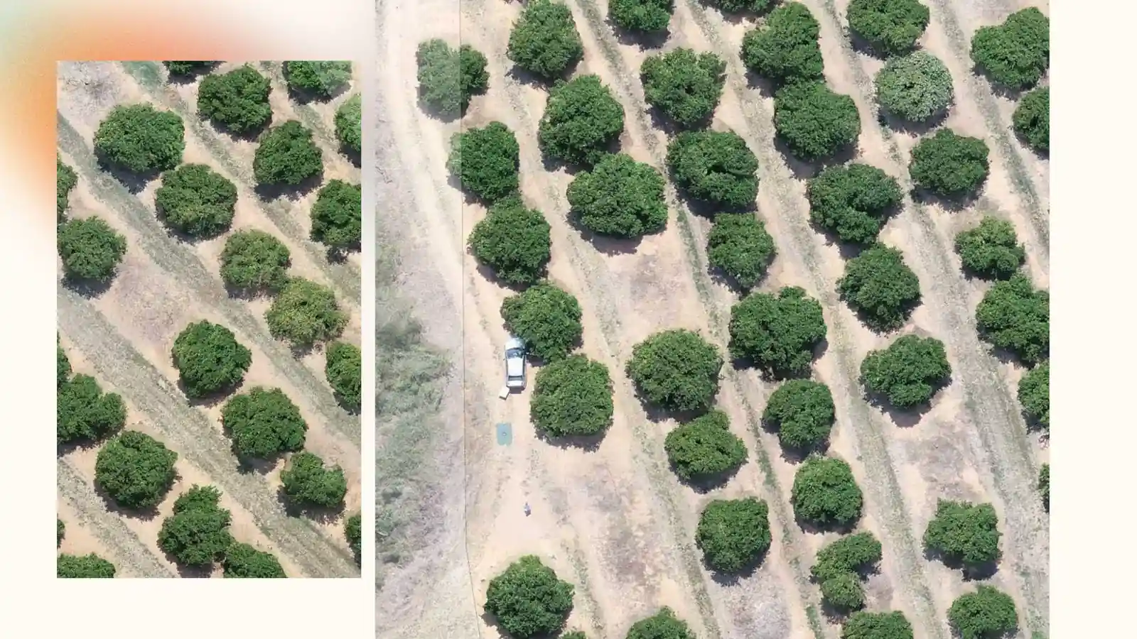 Agritech annotation workflow process